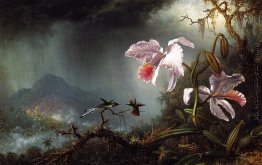 Zwei kämpfende Kolibris mit zwei Orchideen Zwei kämpfende Kolibris mit zwei Orchideen