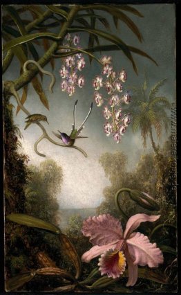 Orchideen und Orchideen-Spray mit Hummingbird Orchideen und Orchideen-Spray mit Hummingbird