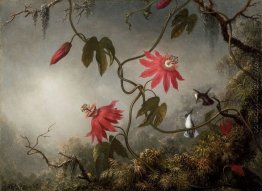 Passionsblumen mit Kolibris Passionsblumen mit Kolibris