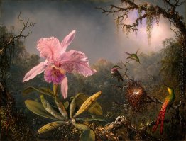Cattleya Orchidee und drei Kolibris Cattleya Orchidee und drei Kolibris