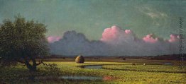 Sonnenlicht und Schatten: Die Newbury Marshes Sonnenlicht und Schatten: Die Newbury Marshes