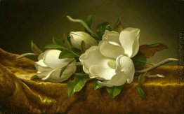 Magnolien auf goldenem Samt Magnolien auf goldenem Samt