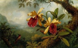 Orchideen und Hummingbird Orchideen und Hummingbird