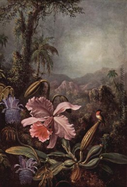 Orchid und Hummingbird Orchid und Hummingbird