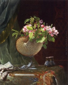 Stillleben mit Apfelblüten in einem Nautilus-Muschel Stillleben mit Apfelblüten in einem Nautilus-Muschel