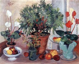 Stillleben (Cyclamen) Stillleben (Cyclamen)