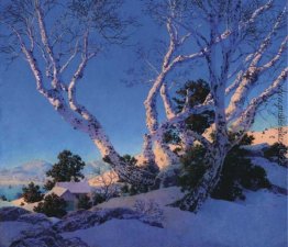Birken im Winter Birken im Winter