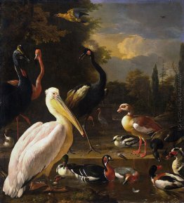 Ein Pelikan und andere Vögel nahe einem Pool (Die Schwimmende Fe Ein Pelikan und andere Vögel nahe einem Pool (Die Schwimmende Fe