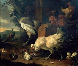 Hausgeflügel mit einem Fasan und Pfauen Hausgeflügel mit einem Fasan und Pfauen