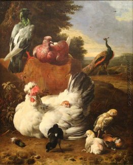 La poule blanche La poule blanche