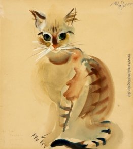 Katze Katze