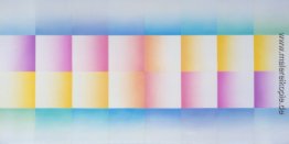 Morgen Fan Morgen Fan