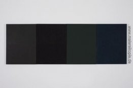 Green Study Green Study