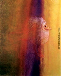Vogel Licht erleben Vogel Licht erleben