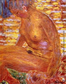 Sombre Nude Sombre Nude