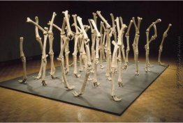 Variabilität der ähnlichen Formen Variabilität der ähnlichen Formen