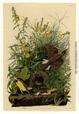 Platte 136 Meadow Lark Platte 136 Meadow Lark