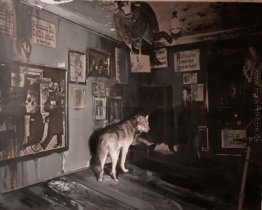 Dada ist tot (Studie) Dada ist tot (Studie)