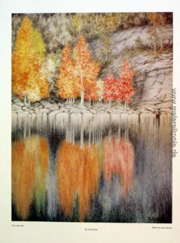 Aspen Bloer Aspen Bloer