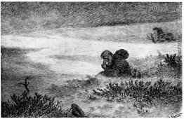 Peer Gynt 11 Peer Gynt 11