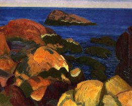 Felsen, Unkraut und Meer Felsen, Unkraut und Meer