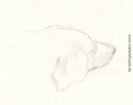 Kopf eines Hundes Kopf eines Hundes