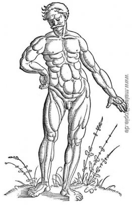 Muscle Man Standing Muscle Man Standing