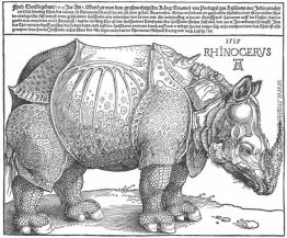 Nashorn Nashorn