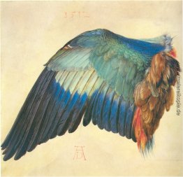 Flügel einer blauen Roller Flügel einer blauen Roller