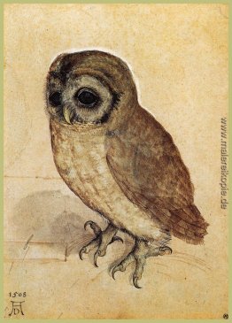 Die kleine Eule Die kleine Eule