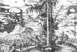 Landschaft Landschaft