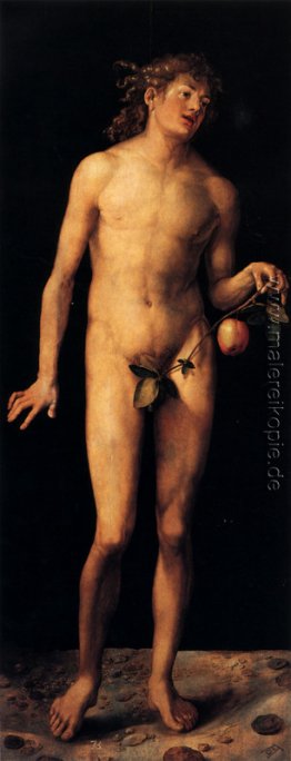 Adam Adam