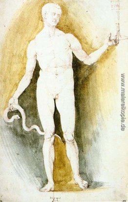 Männlicher Akt mit einem Glas und Snake (Asklepios) Männlicher Akt mit einem Glas und Snake (Asklepios)