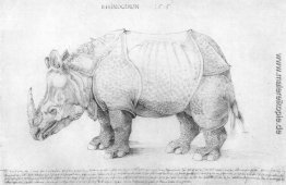 Nashorn Nashorn