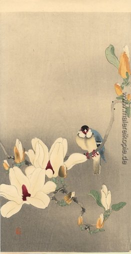 Blue Bird und Magnolia Blue Bird und Magnolia
