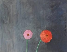 Zinnias Zinnias