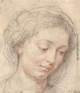 Leiter der Frau Leiter der Frau