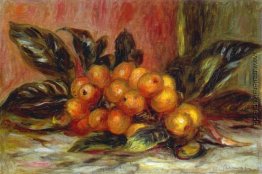 Mispel Ast Mispel Ast