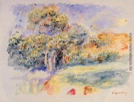 Landschaft Landschaft