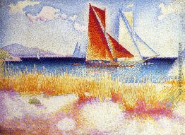 Regatta Regatta