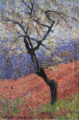 Der Baum Der Baum
