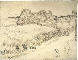 Weizen-Feld mit einem Stapel von Weizen oder Hay Weizen-Feld mit einem Stapel von Weizen oder Hay