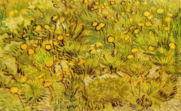 Ein Feld der gelben Blumen Ein Feld der gelben Blumen