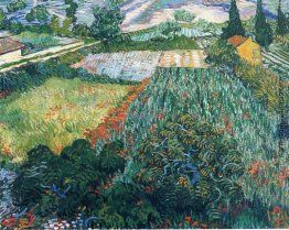 Feld mit Mohnblumen Feld mit Mohnblumen