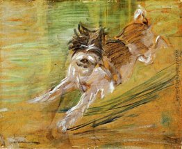 Jumping Dog Schlick Jumping Dog Schlick