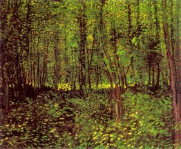Bäume und Unterholz Bäume und Unterholz
