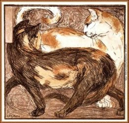 Zwei Katzen Zwei Katzen