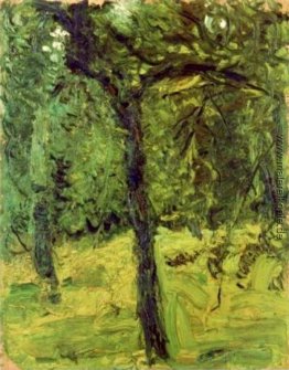 Baum im Garten Baum im Garten