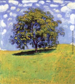 Die Nut Tree Die Nut Tree