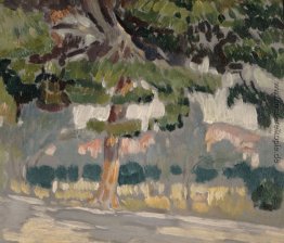 Landschaft Landschaft